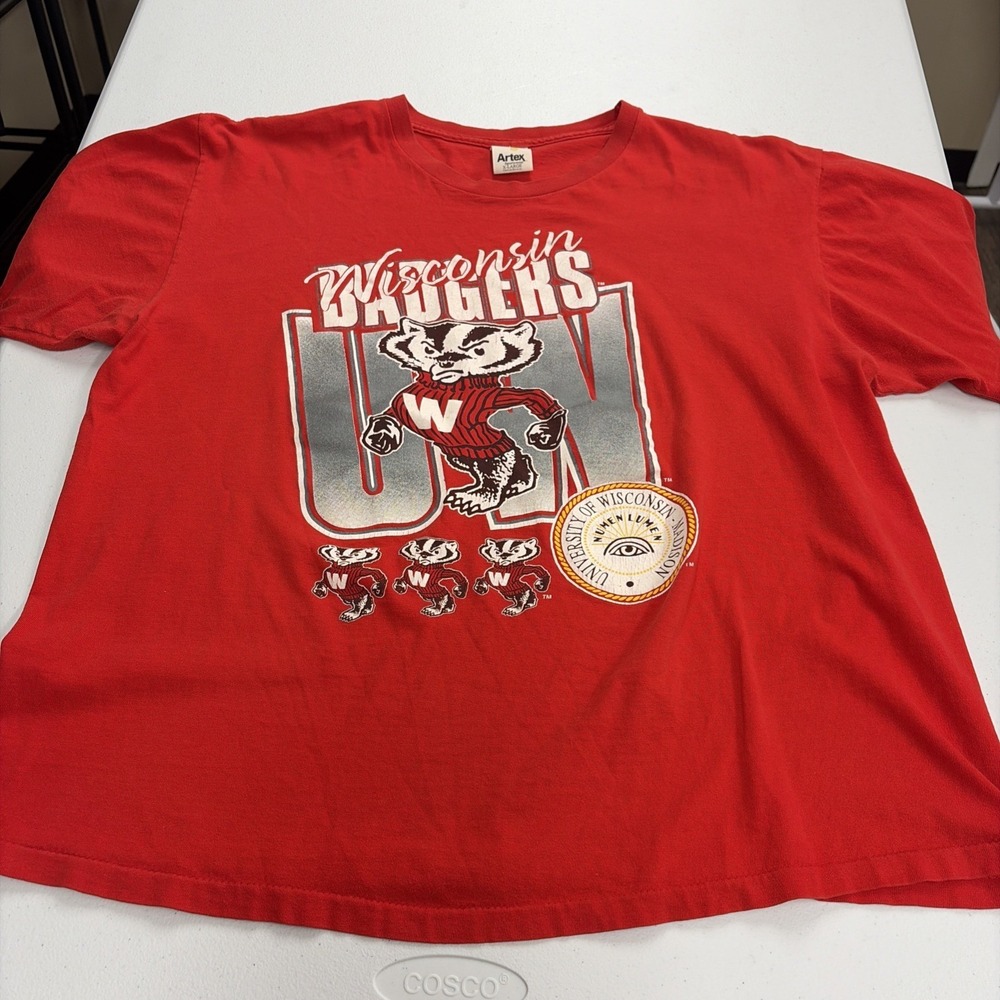 Vintage Wisconsin Badgers XL 90s  NCAA Bucky Single Stitch USA Made Grail!!
